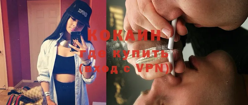 Cocaine Боливия  как найти наркотики  Жиздра 